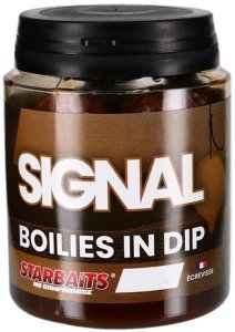 Starbaits Boilies v dipe Signal 20mm 150g