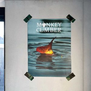 Monkey Climber Poster Rini Groothuis Op Jacht Naar Grote Karper