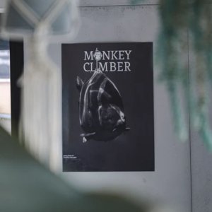 Monkey Climber Poster Carp