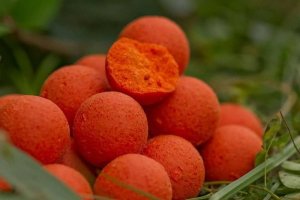 Starbaits Boilies Probiotic Peach Mango + N-Butyric 14mm 1kg