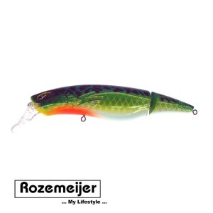 Rozemeijer Wobler Tail Swinger 16cm 60g f.65264