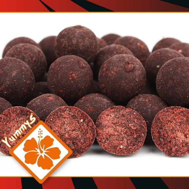 Imperial Baits Boilies Elite Strawberry 20mm 1kg