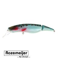 Rozemeijer Wobler Tail Swinger 16cm 60g f.65266