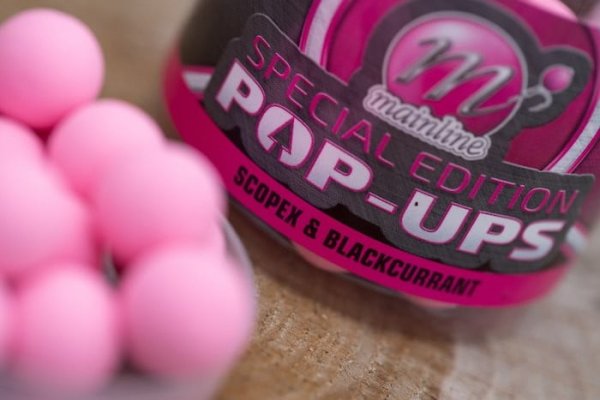 Mainline Limited Edition Pop-Ups Scopex & Blackcurrant 15mm